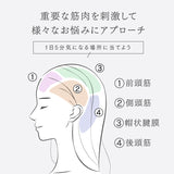 MYTREX VIDO マイトレックス ビドー 横振動モーションブラシ